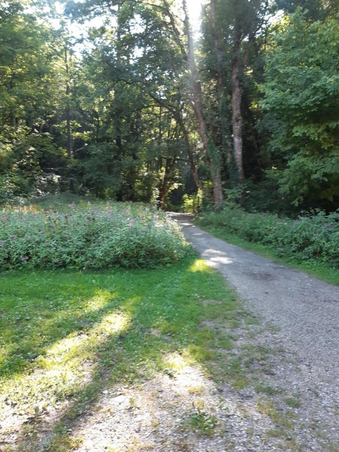 Schutzhaus Johannesbachklamm Unterhoflein Buitenkant foto